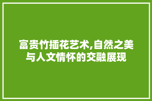 富贵竹插花艺术,自然之美与人文情怀的交融展现