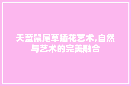 天蓝鼠尾草插花艺术,自然与艺术的完美融合