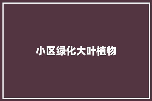 小区绿化大叶植物