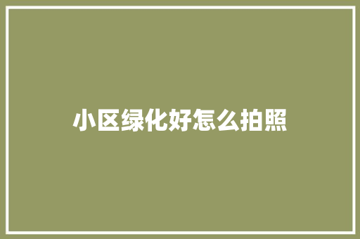 小区绿化好怎么拍照