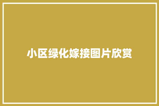 小区绿化嫁接图片欣赏