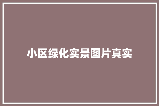 小区绿化实景图片真实