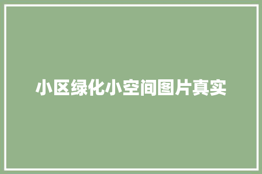 小区绿化小空间图片真实