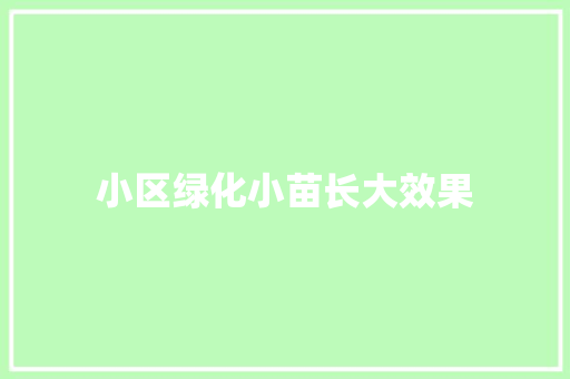 小区绿化小苗长大效果