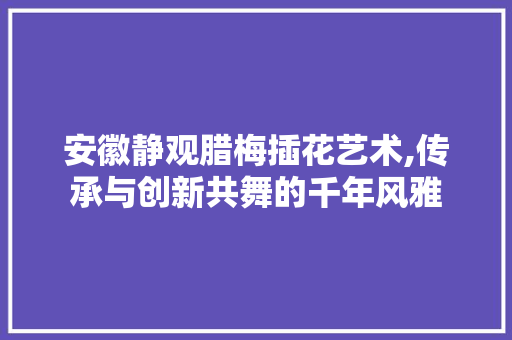 安徽静观腊梅插花艺术,传承与创新共舞的千年风雅