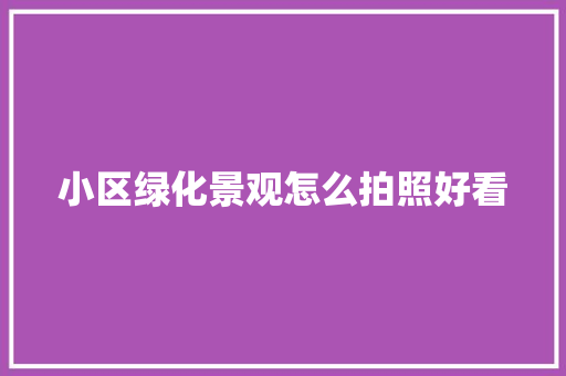 小区绿化景观怎么拍照好看