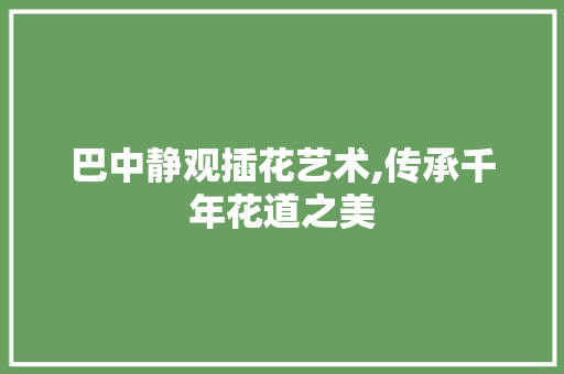 巴中静观插花艺术,传承千年花道之美