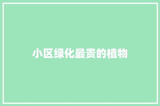 小区绿化最贵的植物