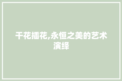干花插花,永恒之美的艺术演绎