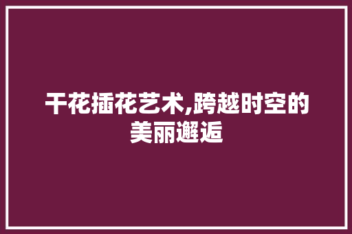 干花插花艺术,跨越时空的美丽邂逅