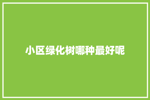 小区绿化树哪种最好呢 无土育苗