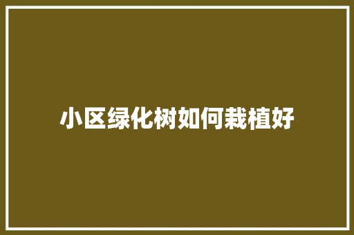小区绿化树如何栽植好