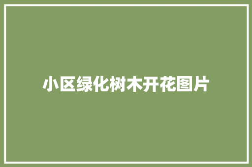 小区绿化树木开花图片