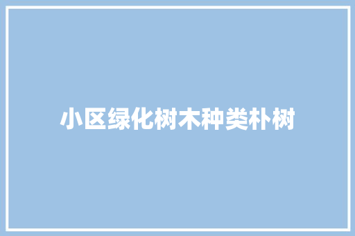 小区绿化树木种类朴树