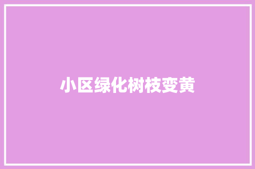 小区绿化树枝变黄
