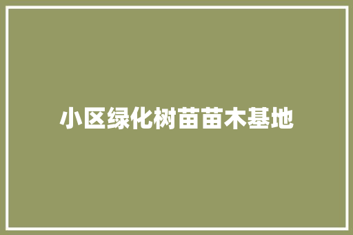 小区绿化树苗苗木基地