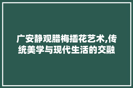 广安静观腊梅插花艺术,传统美学与现代生活的交融