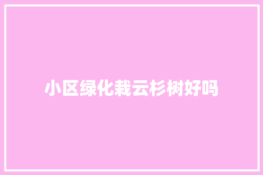 小区绿化栽云杉树好吗