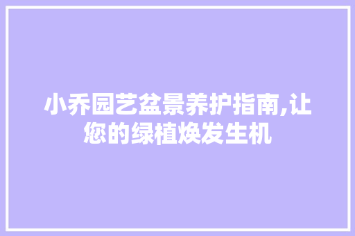 小乔园艺盆景养护指南,让您的绿植焕发生机