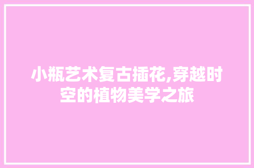 小瓶艺术复古插花,穿越时空的植物美学之旅