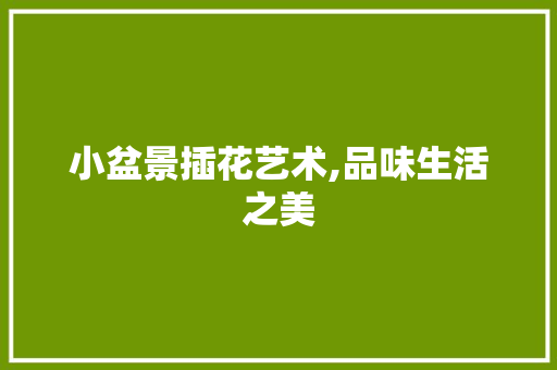 小盆景插花艺术,品味生活之美