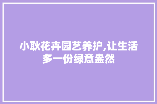 小耿花卉园艺养护,让生活多一份绿意盎然