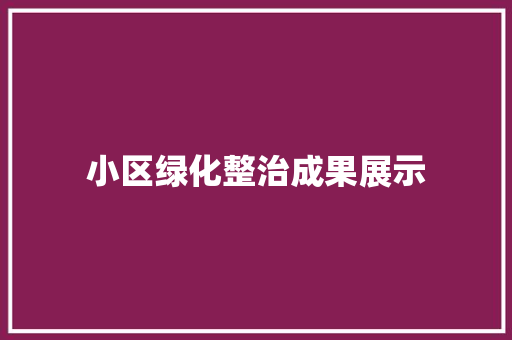 小区绿化整治成果展示