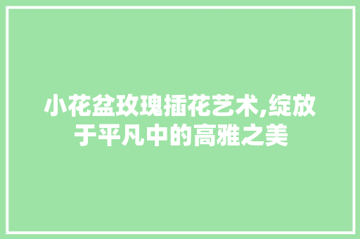 小花盆玫瑰插花艺术,绽放于平凡中的高雅之美
