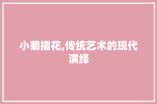 小菊插花,传统艺术的现代演绎
