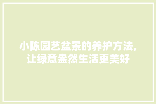 小陈园艺盆景的养护方法,让绿意盎然生活更美好