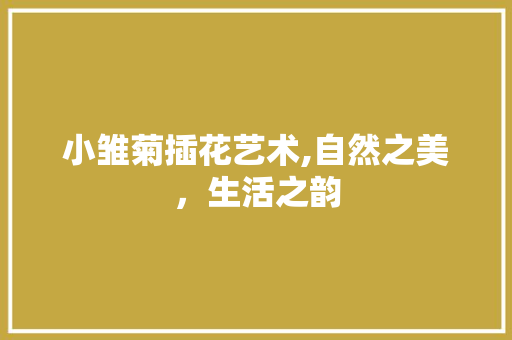 小雏菊插花艺术,自然之美，生活之韵