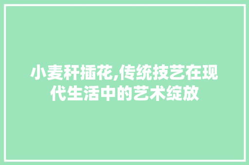 小麦秆插花,传统技艺在现代生活中的艺术绽放