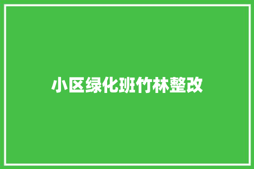 小区绿化班竹林整改