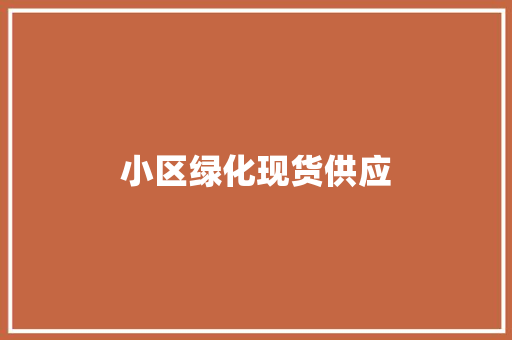 小区绿化现货供应 林木育苗