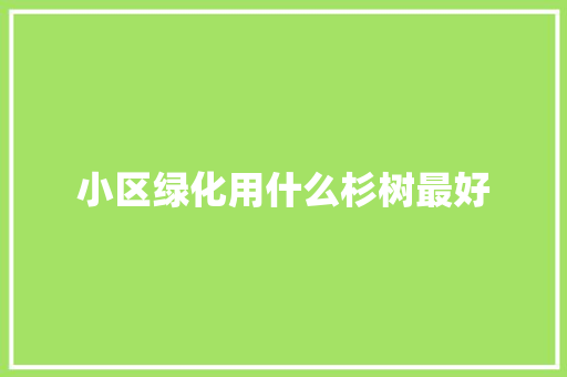 小区绿化用什么杉树最好