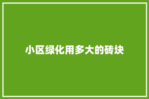 小区绿化用多大的砖块
