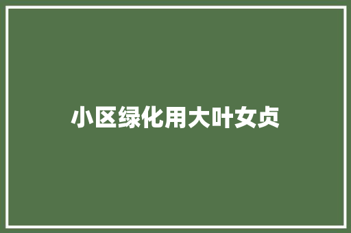 小区绿化用大叶女贞