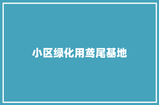 小区绿化用鸢尾基地
