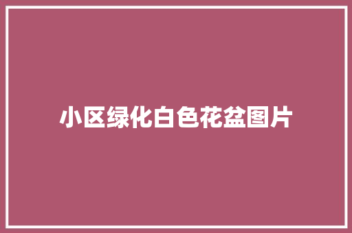 小区绿化白色花盆图片
