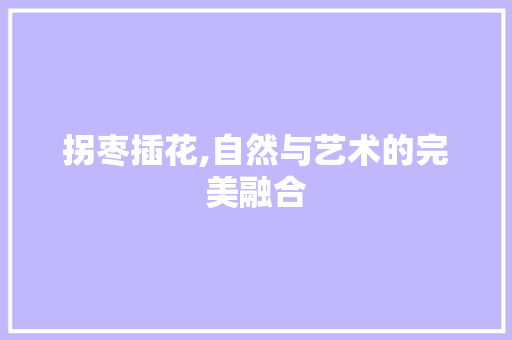拐枣插花,自然与艺术的完美融合
