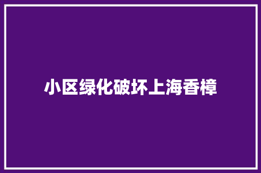 小区绿化破坏上海香樟