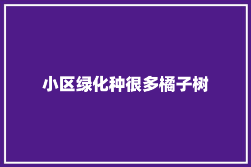 小区绿化种很多橘子树