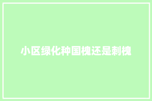 小区绿化种国槐还是刺槐 花卉育苗