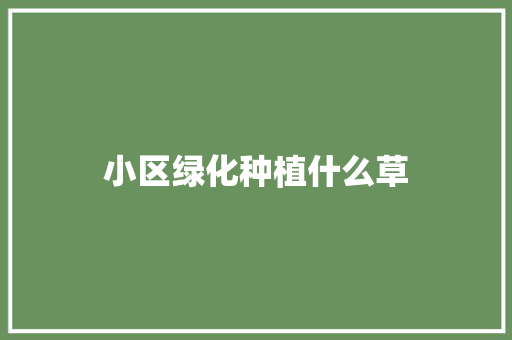小区绿化种植什么草