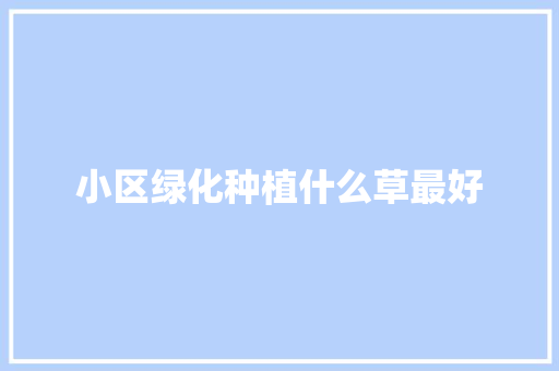 小区绿化种植什么草最好
