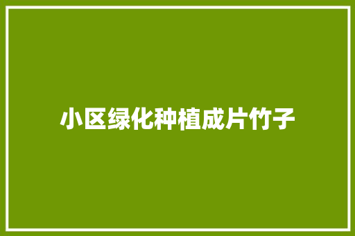小区绿化种植成片竹子 林木育苗