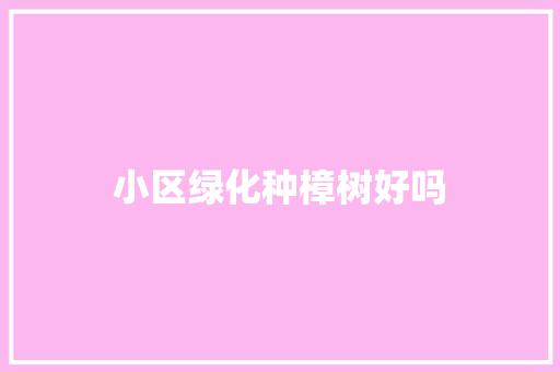 小区绿化种樟树好吗