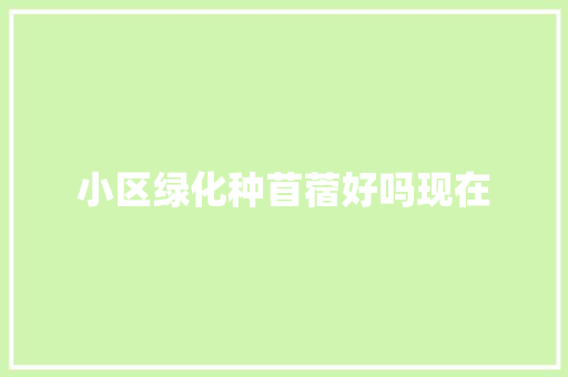 小区绿化种苜蓿好吗现在