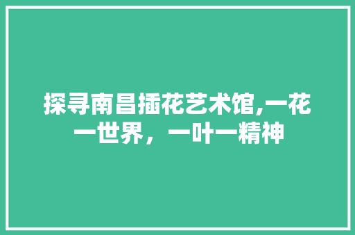 探寻南昌插花艺术馆,一花一世界，一叶一精神
