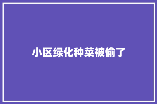 小区绿化种菜被偷了